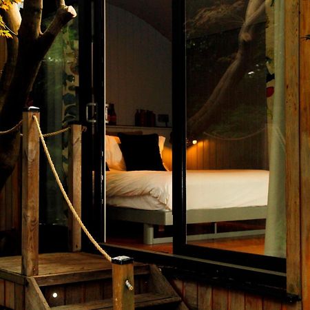 Victorian House Bed and Breakfast Grasmere Δωμάτιο φωτογραφία