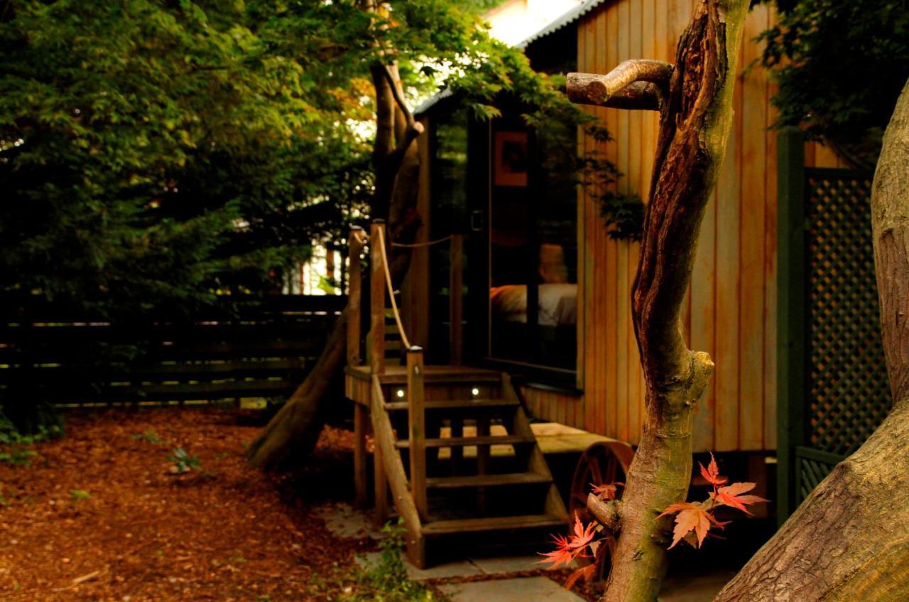 Victorian House Bed and Breakfast Grasmere Δωμάτιο φωτογραφία